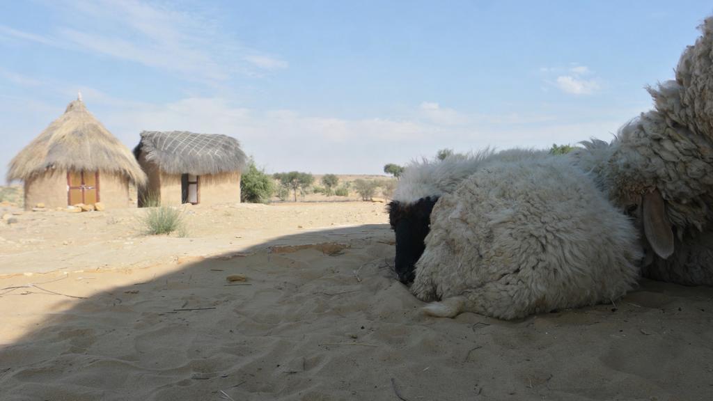 Mala Ki Dhani Jaisalmer Exterior photo